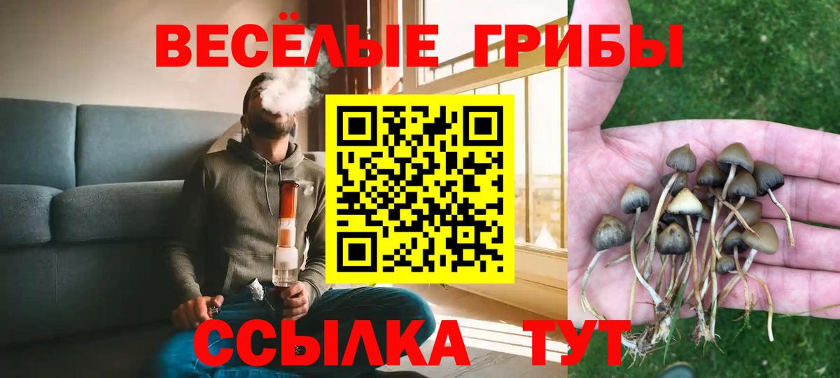 Псилоцибиновые грибы мухоморы  Вход с VPN  Ижевск  Псилоцибиновые грибы ЛСД 